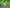 From Shopify Launch To Loyalty in 90 Days