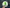 5 Shopify Apps Food Brands Must Have